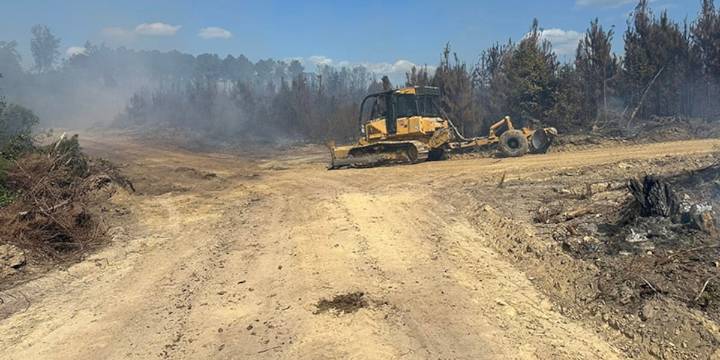 Forest Service, fire departments try to contain Greene County wildfire