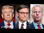 'Can't trust Trump to follow through on a deal': GOP strategist on shutdown