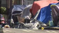 Tacoma considering expanding camping ban to parks, playgrounds, libraries
