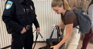 Handler, Geisinger bomb-detecting dog flash skills in visit to Shikellamy