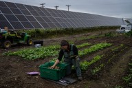 Esta granja solar en Alaska también produce comida
