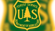 Prescribed burn planned this week for Carson National Forest