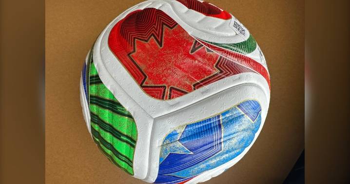 FIFA World Cup Trionda: Official match ball unveiled