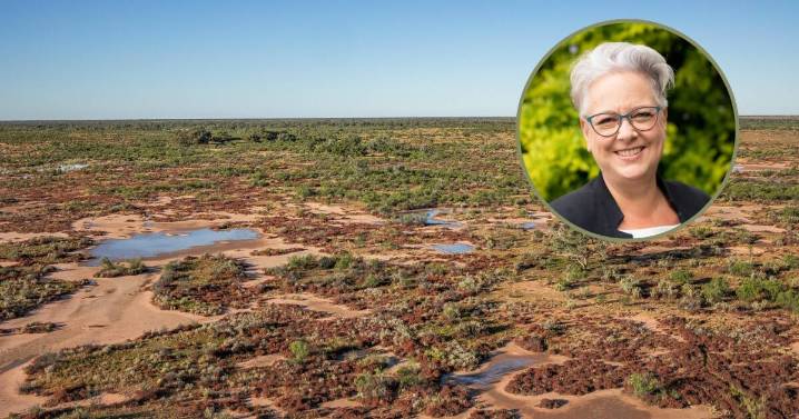NSW environment minister grilled on Far West horse cull incident