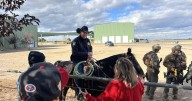 105 detenidos en redada federal en pista de carreras de Wilder, dice ICE