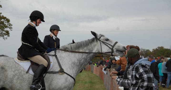 Tradition on four legs: Hunt Races draw crowds in Geneseo