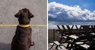 31 Funny Accidental Images That Were Taken At The Right Time And Place By This Street Photographer