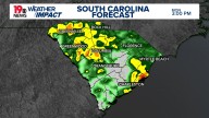 Rain moves into the Midlands early next week