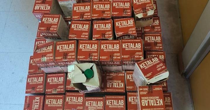 Camión escáner de Aduanas revela contrabando de 400 frascos de ketamina en el paso fronterizo Colchane