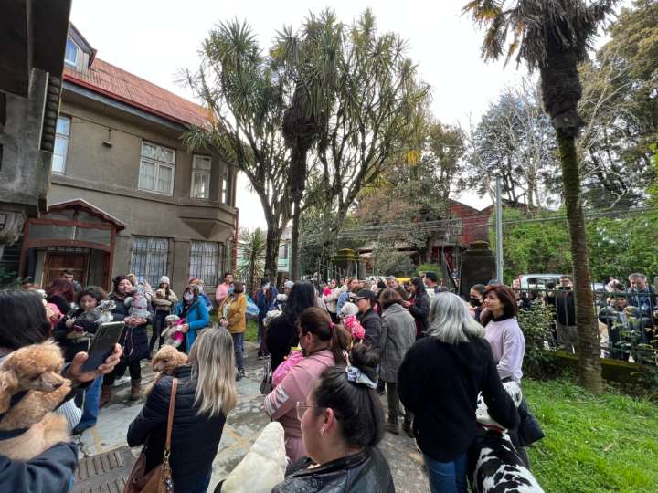 Valdivia se une por amor: Mascotas recibirán bendición especial en iglesia franciscana, ¿cuándo será?