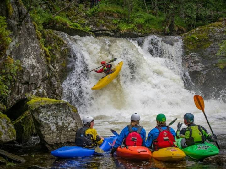18 de Octubre: Día Mundial de Protección de la Naturaleza, un motor clave para el desarrollo del eco...