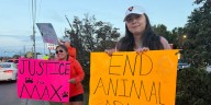 Community protests at Vinton restaurant after alleged animal cruelty