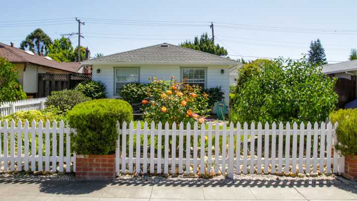 Add Big Curb Appeal To Even The Smallest Of Yards With One Simple Tree