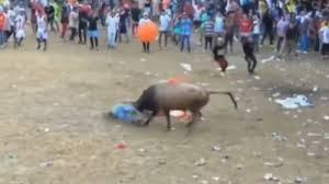 Torero muere tras provocación a un toro en festival en Fundación, Magdalena