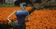 CBP reminds border travelers of ag restrictions ahead of Día de los Muertos
