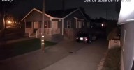 Video: Apparent Halloween thief trots away with 13