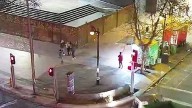 Detienen a 16 miembros de organización criminal “La Jauría”