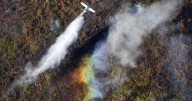 N.S. wildfire under control, not expected to grow after 2 weeks of dry, windy weather
