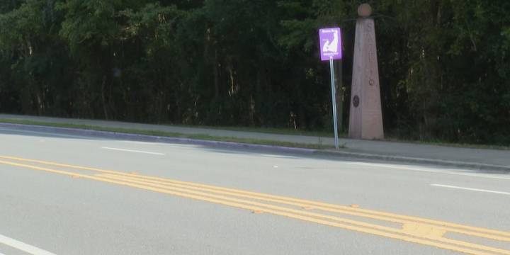 ‘I was disappointed’: Veterans group says Gainesville memorial site could be painted over