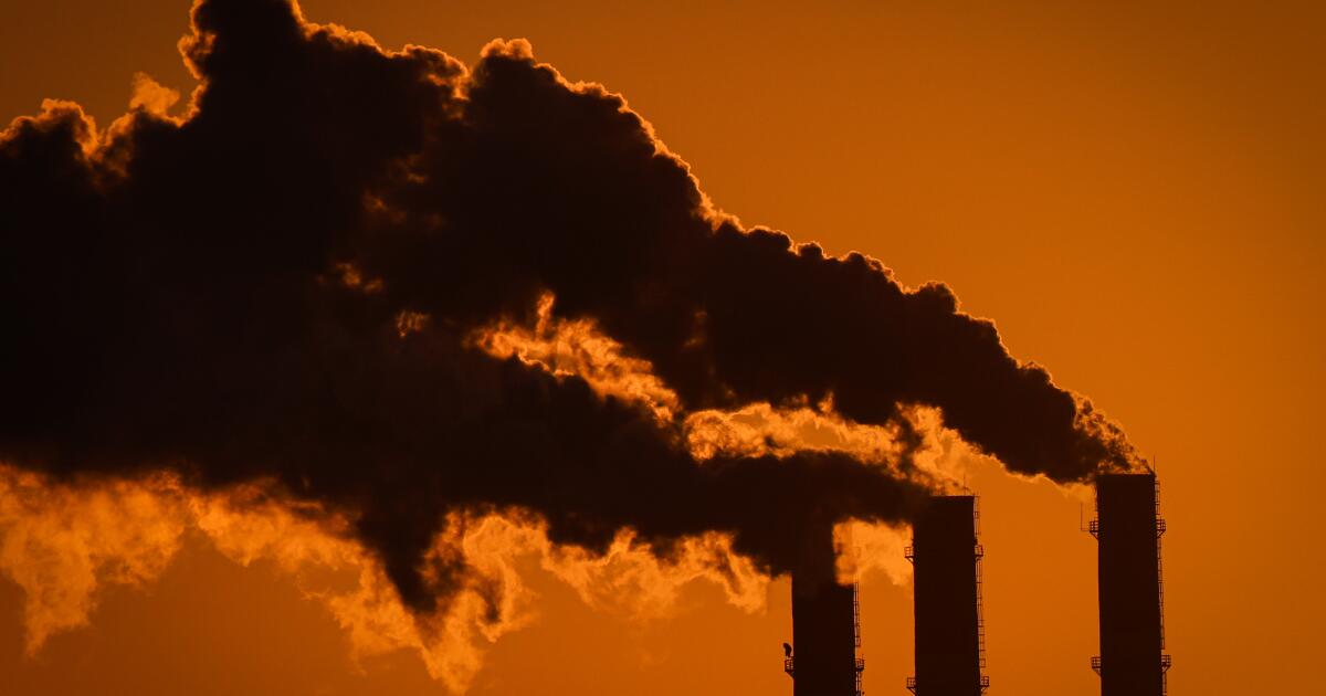 Global carbon levels rose by record amount in 2024, WMO Says
