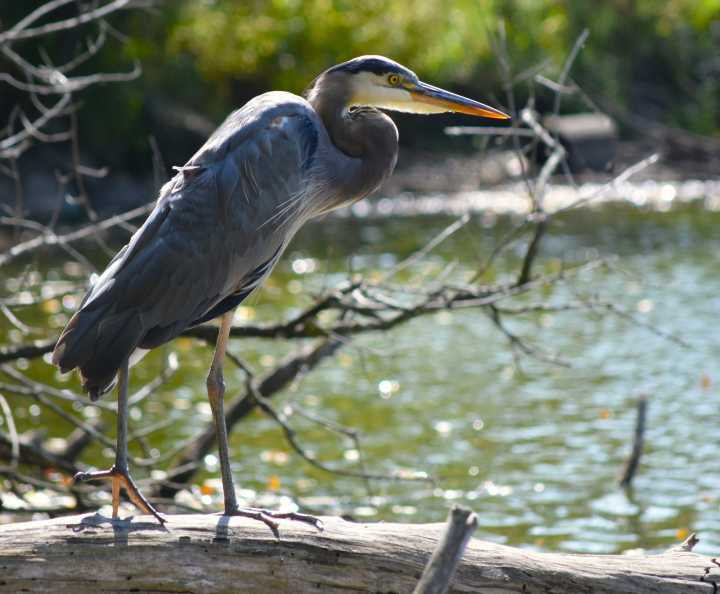PHOTOS: Londoner's weekly moment in time - 2025 | The Stratford Beacon Herald