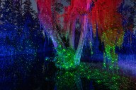 Capturing the ‘mystical’ energy of the Okefenokee Swamp