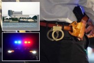 Exclusive | Serial burglar exploited NY's lax bail laws in theft wave