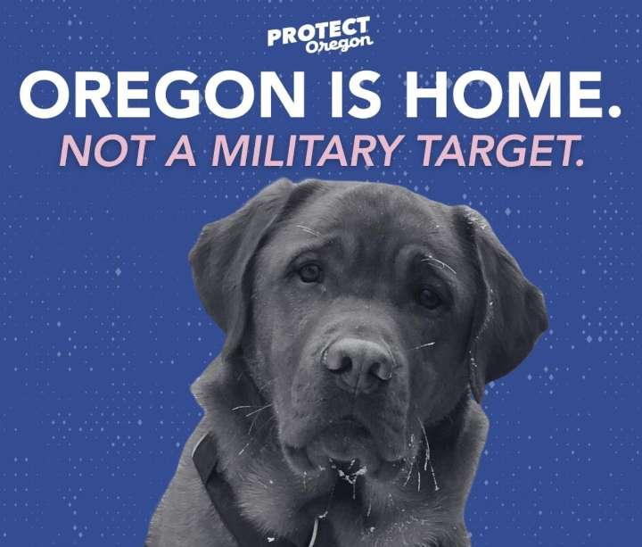 Portland puppy party protest says 'paws off' to DHS secretary