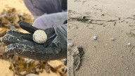 Source of NSW mystery beach balls finally revealed to have come from a waste treatment facility