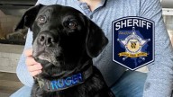 Harford County Sheriff's Office honors the passing of former K