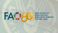 Celebra la FAO su aniversario 80 acentuando la lucha contra el hambre