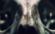 El descubrimiento en África que reescribiría la historia evolutiva de los humanos