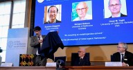 Molecular discovery that won Nobel Prize in chemistry is likened to 'Harry Potter' enchanted handbag