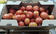 Con más de 30 por ciento, el tomate redondo fue el alimento que más aumentó en septiembre