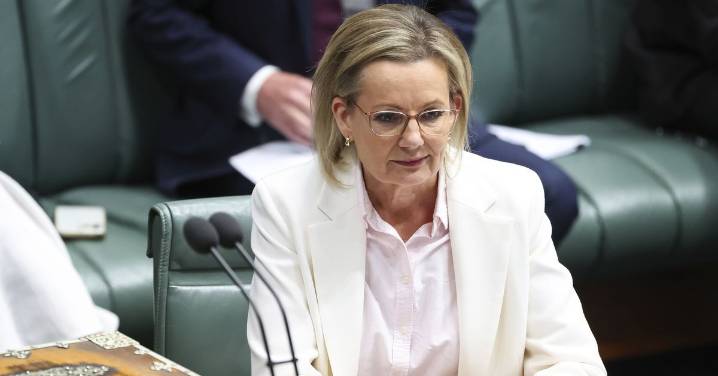 Deborah Knight: Sussan Ley's attack on PM for his T-shirt smacks of desperation