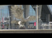 Falcons take on Bills for Monday Night Football