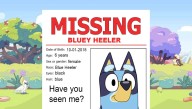 Bluey Reported Missing After Haitian Migrants Move In Next Door