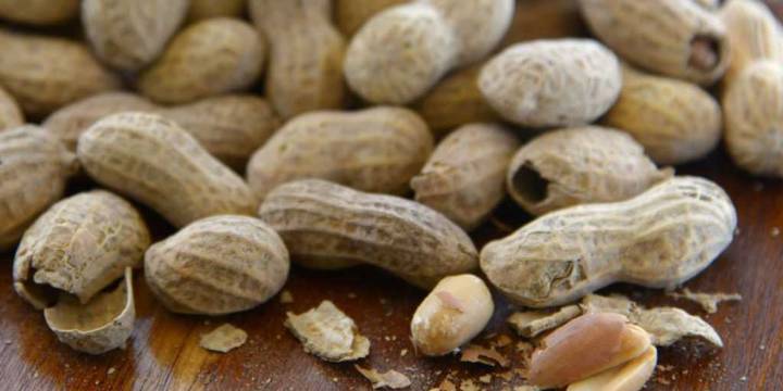 Study shows massive decline in peanut allergies after previous experts proven wrong