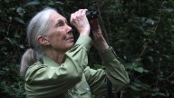 Jane Goodall had a message for Floridians: Work together for nature