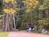 Barrington takes one step closer to improving Veterans Park path
