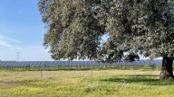 La energía solar alcanza un nuevo récord de reducción de emisiones