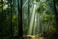 Cien líderes hispanos impulsan acción climática global desde política, ciencia y activismo
