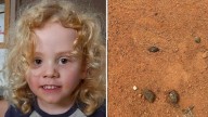 Gus Lamont: Search for 4yo Yunta boy now a ‘recovery’ as SA police deliver grim update
