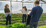 Proyecto hortícola: articulación entre productores locales y la empresa Sueño Verde