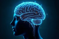 El hallazgo que podría transformar la investigación neurocientífica