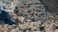 Punta Marqués celebra 40 años dedicados a la conservación