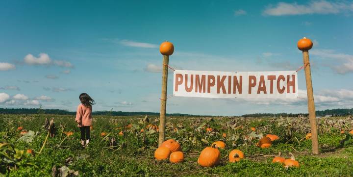 October 2025 Holidays and Observances Full Guide and Calendar