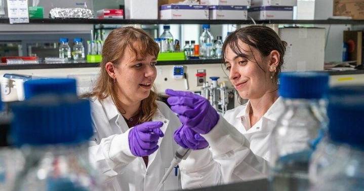Discovery paves way for potential male birth control pill