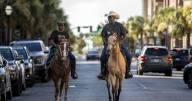 James Island Cowboys share love of horses with Lowcountry