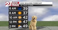 Cool start to the day with temperatures slowly warming